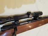 Winchester Model 43 Caliber 25-20 - 7 of 7