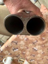 Parker DHEEnglish stock. 12 ga - 12 of 15