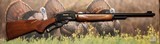 Marlin Model 410 Lever Action Shotgun - 2 of 13