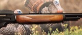 Marlin Model 410 Lever Action Shotgun - 11 of 13