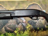 Winchester 1300 12 gauge NWTF shotgun 22