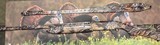 Browning Gold Hunter 20 gauge 26” RARE In BOX with Sling
