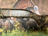 Remington 1187 Special Purpose 12 gauge Mossy Oak Breakup Camo 26” - 8 of 11