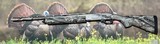Remington 870 YOUTH 20 gauge Realtree Camo - 2 of 10