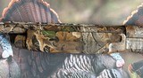 Benelli Super Black Eagle H&K 12 gauge RARE Original Realtree Advantage Camo - 12 of 15
