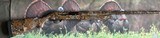 Benelli Super Black Eagle H&K 12 gauge RARE Original Realtree Advantage Camo - 1 of 15