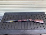 European Browning 725 Black and Gold Hunter - 13 of 14