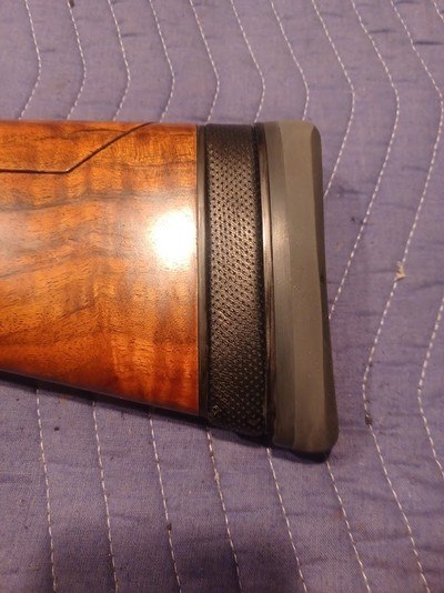 ISIS II recoil reducer