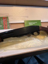 Remington Model SIX .243 Win NIB - 4 of 13