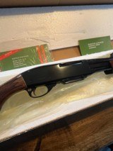 Remington Model SIX .243 Win NIB - 6 of 13