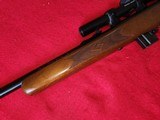 WOW! Marlin 25MN Bolt Action 22 WMR Excellent Condition W/Bushnell Banner Scope - 4 of 19