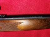 WOW! Marlin 25MN Bolt Action 22 WMR Excellent Condition W/Bushnell Banner Scope - 8 of 19