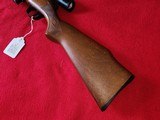 WOW! Marlin 25MN Bolt Action 22 WMR Excellent Condition W/Bushnell Banner Scope - 19 of 19