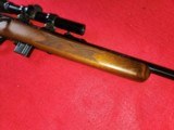 WOW! Marlin 25MN Bolt Action 22 WMR Excellent Condition W/Bushnell Banner Scope - 6 of 19