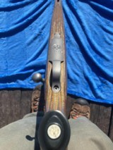 Ruger M77 Hawkeye Predator 204 - 5 of 9