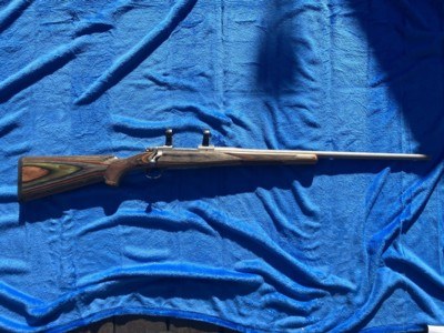Ruger M77 Hawkeye Predator 204