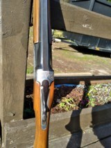 Zoli Armi, 12 Gauge, FREE SHIPPING - 6 of 11