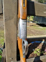 Zoli Armi, 12 Gauge, FREE SHIPPING - 4 of 11