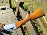Zoli Armi, 12 Gauge, FREE SHIPPING - 9 of 11