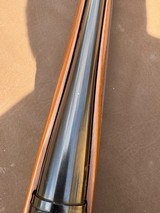 Remington Model 700 Mountain Rifle 257 Roberts - 13 of 14