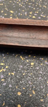 Saginaw S'G' - 9 of 13