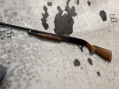 Westernfield M550C - 20 Gauge Pump action shotgun - Image 8 of 15