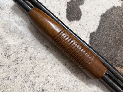 Westernfield M550C - 20 Gauge Pump action shotgun - Image 10 of 15