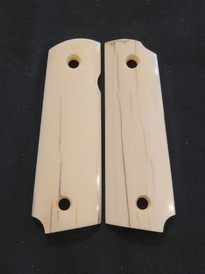 Browning 1911-22-380 Fossilized Walrus Tusk grips - Image 1 of 1
