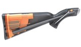 HENRY US SURIVAL 22LR 16.5
