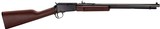 HENRY PUMP RIFLE 22LR 18.25