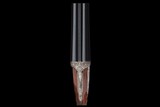James Purdey & Sons Self-Opening Sidelock Ejector Double Barrel Shotgun Two Barrel Set 12 GA - Image 5 of 7