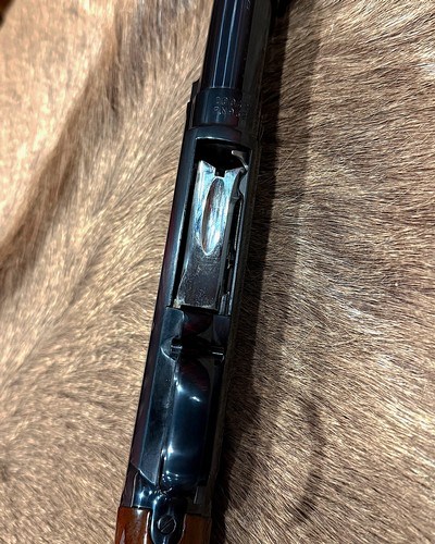 Browning Model 12 Factory Engraved 20 GA - Image 7 of 9