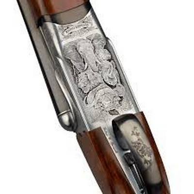 New Rizzini Rhino Express 470. NE - Image 2 of 3