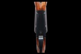 Winchester Model 21 Trap Grade 12ga - Image 5 of 6
