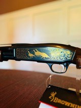 Browning BPS 2001 National Wild Turkey Federation Commemorative Slide Action Shotgun - 18 of 19