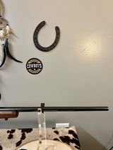 RUGER M77 HAWKEYE 6.5 CREEDMOOR BOLT ACTION RIFLE *MINT* WITH NIXON PROSTAFF SCOPE - 6 of 17