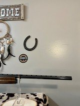 1973 BROWNING AUTO-5 LIGHTWEIGHT 12 GAUGE SEMI AUTO SHOTGUN-BELGIUM - 6 of 17