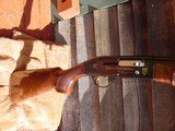 Beretta A303 20 ga DU Limited Edition NIB - 8 of 12