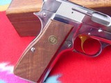 Browning Centennial Hi-Power - 11 of 14