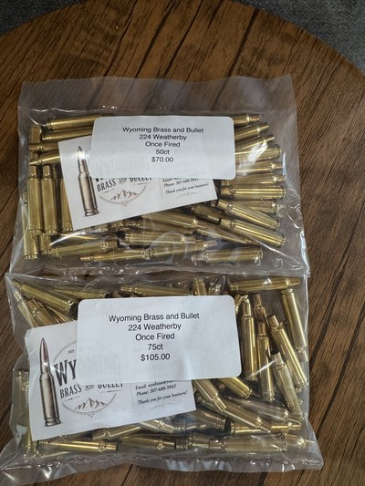 .224 Weatherby Magnum Once-Fired Brass – Cleaned & Ready to Load - Image 1 of 2
