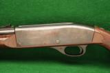 Remington Nylon 66 Rifle .22 Long Rifle - 5 of 9