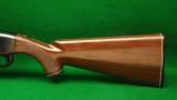 Remington Nylon 66 Rifle .22 LR - 6 of 9