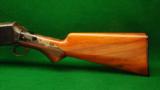 Burgess Model 1889 12ga Pump Shotgun - 4 of 11