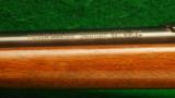 Winchester Model 74 22 Caliber Semi Auto Rifle - 7 of 8