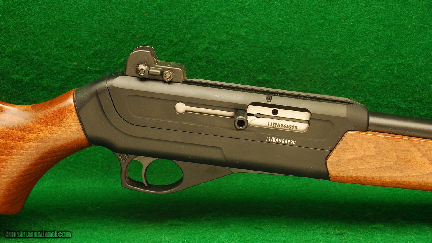 22 Magnum Semi Auto Rifle