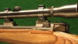 Springfield Model 1922 Caliber 22LR Bolt Action Rifle - 8 of 10