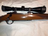 1981 Ruger M77 30-06 Sprg. - 5 of 13