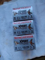 Winchester XPERT 20GA #6 - 1 of 1