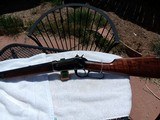 Winchester 22