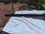Winchester 22